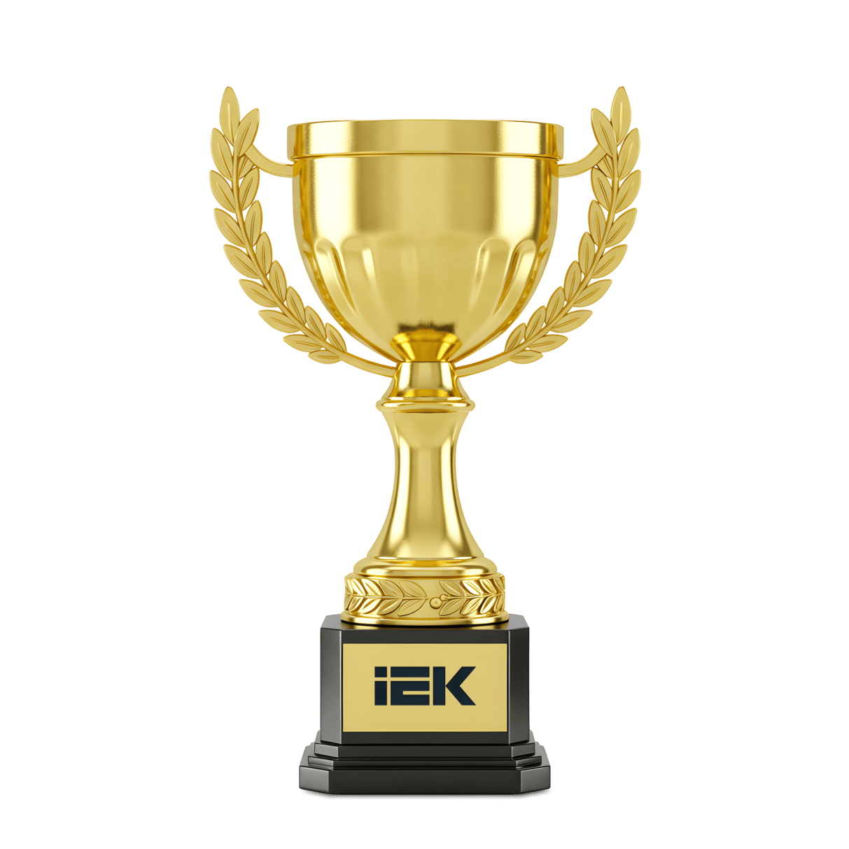 Достижения IEK